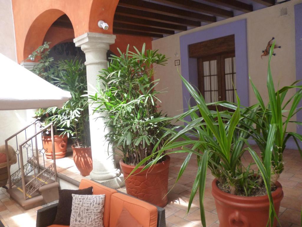 Hotel Trebol Oaxaca Room photo